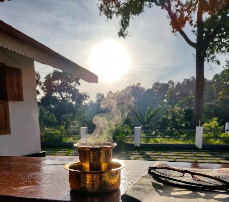 A fresh cup of filter coffee